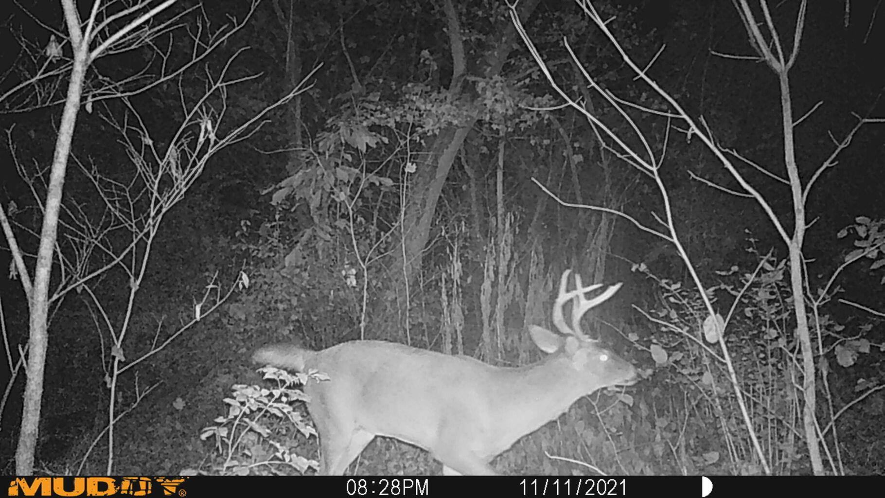0 Fetters Road Bradford, OH 45308 - Photo 34 of 56