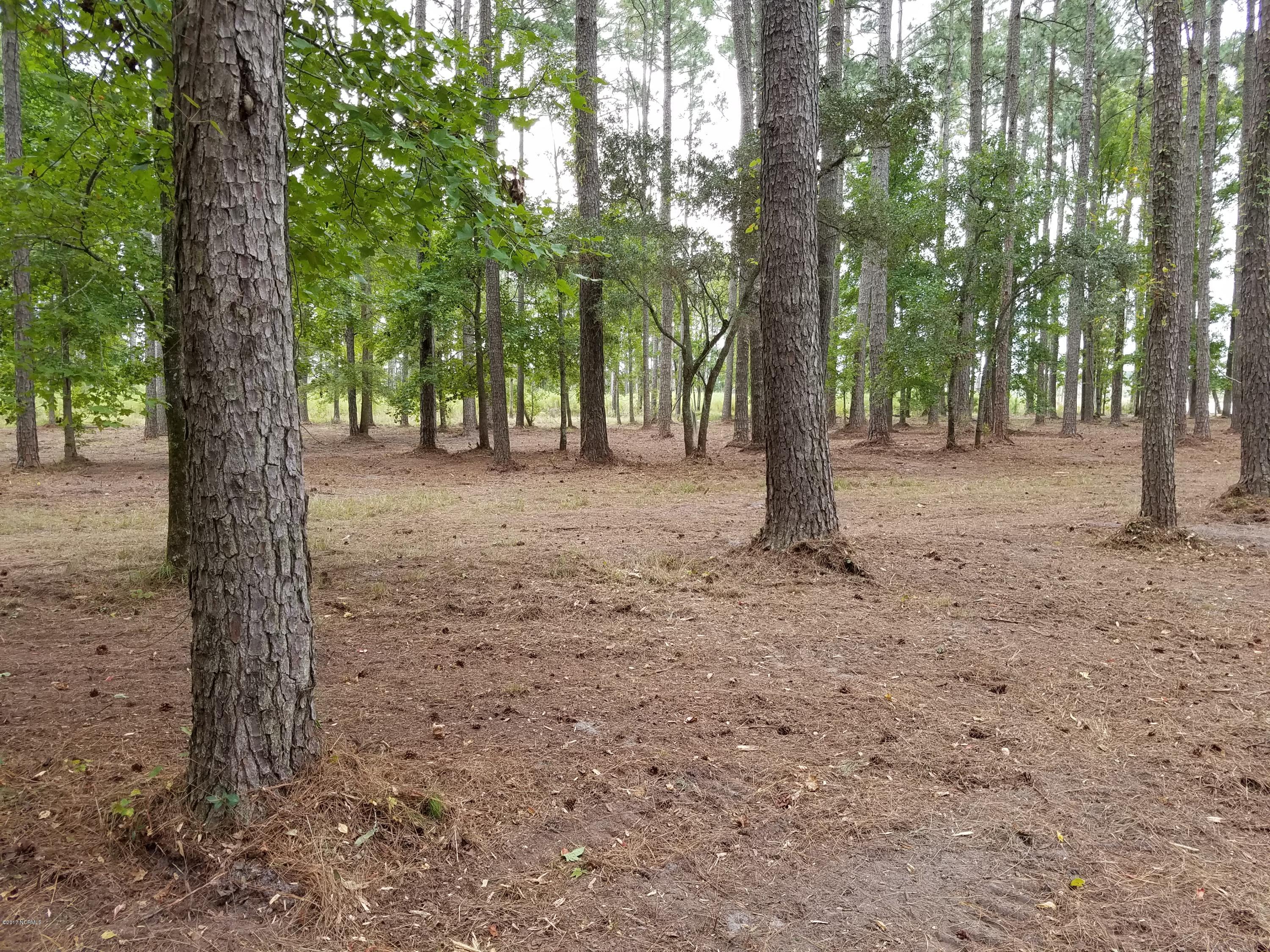 Lot 18.5