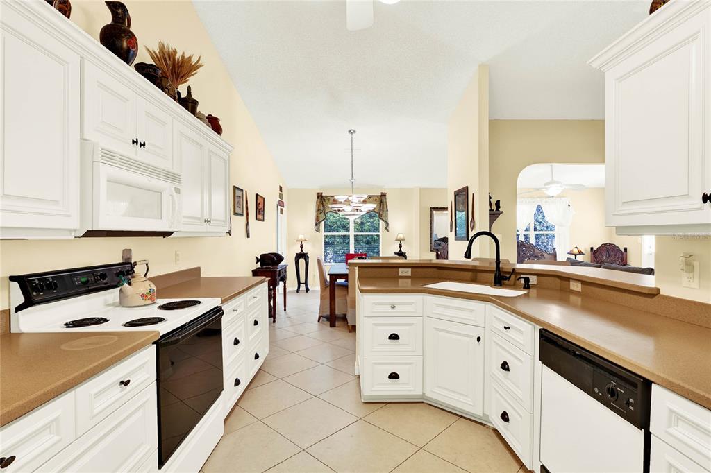 4721 Tara View Road Leesburg, FL 34748 - Photo 4 of 37 Gallery Image 4