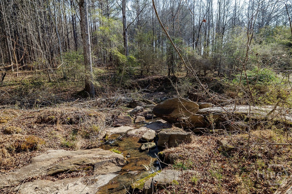 2644 Nunnally Shoals Road Good Hope, GA 30641 - Photo 16 of 17 Gallery Image 16