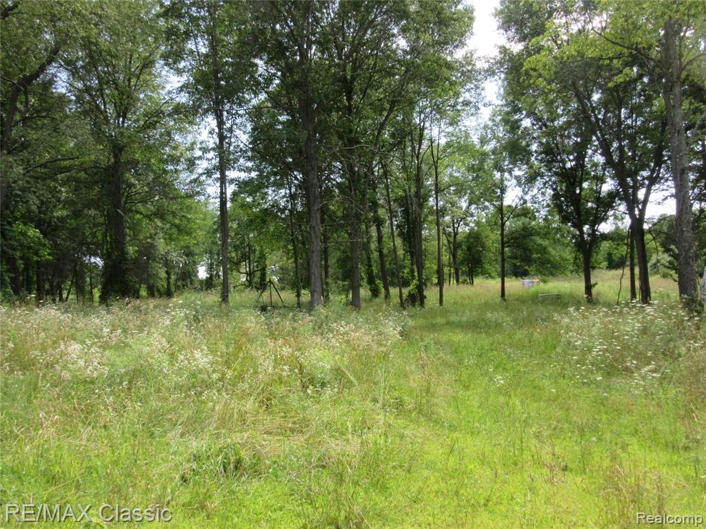 2015 Lone Tree Road Milford, MI 48380 - Photo 3 of 7