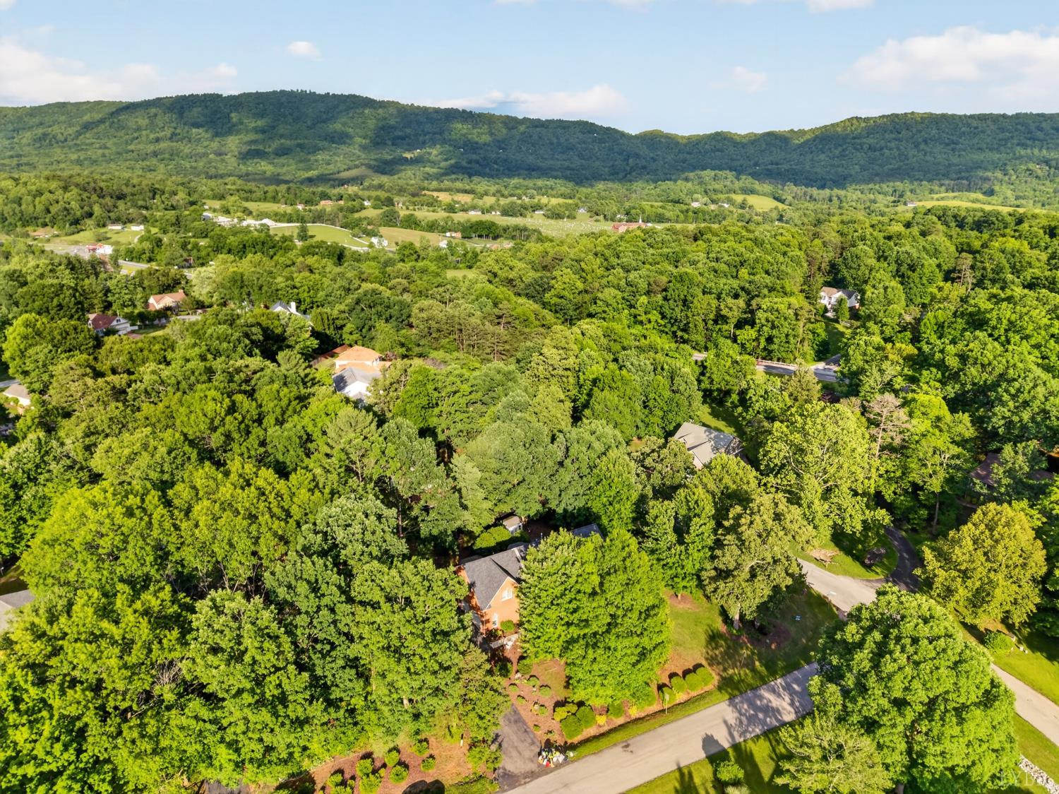 24 Queen Regent Court Blue Ridge, VA 24064 - Photo 71 of 73