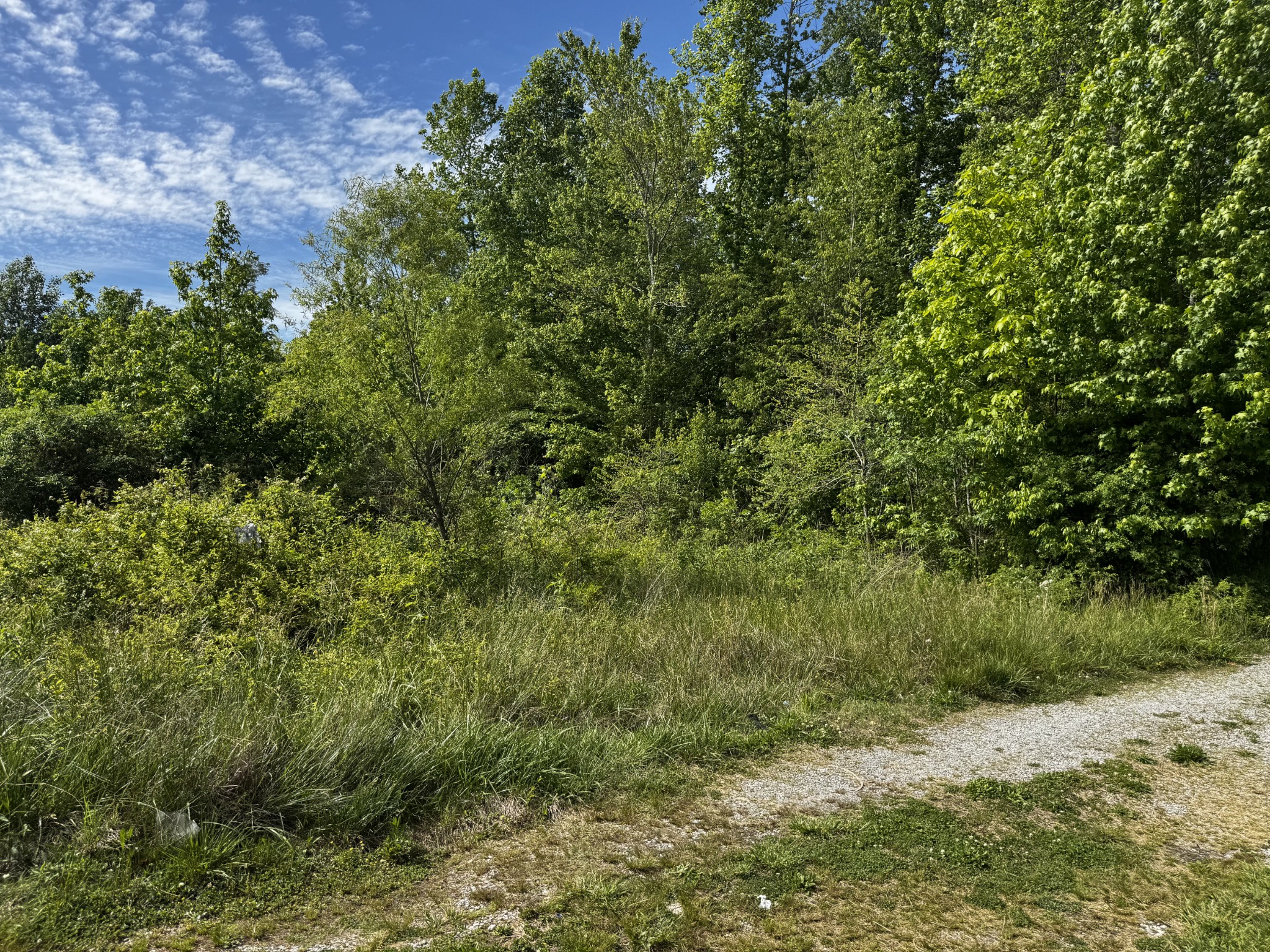 409 Commodore Drive Manchester, TN 37355 - Photo 76 of 88 Gallery Image 76
