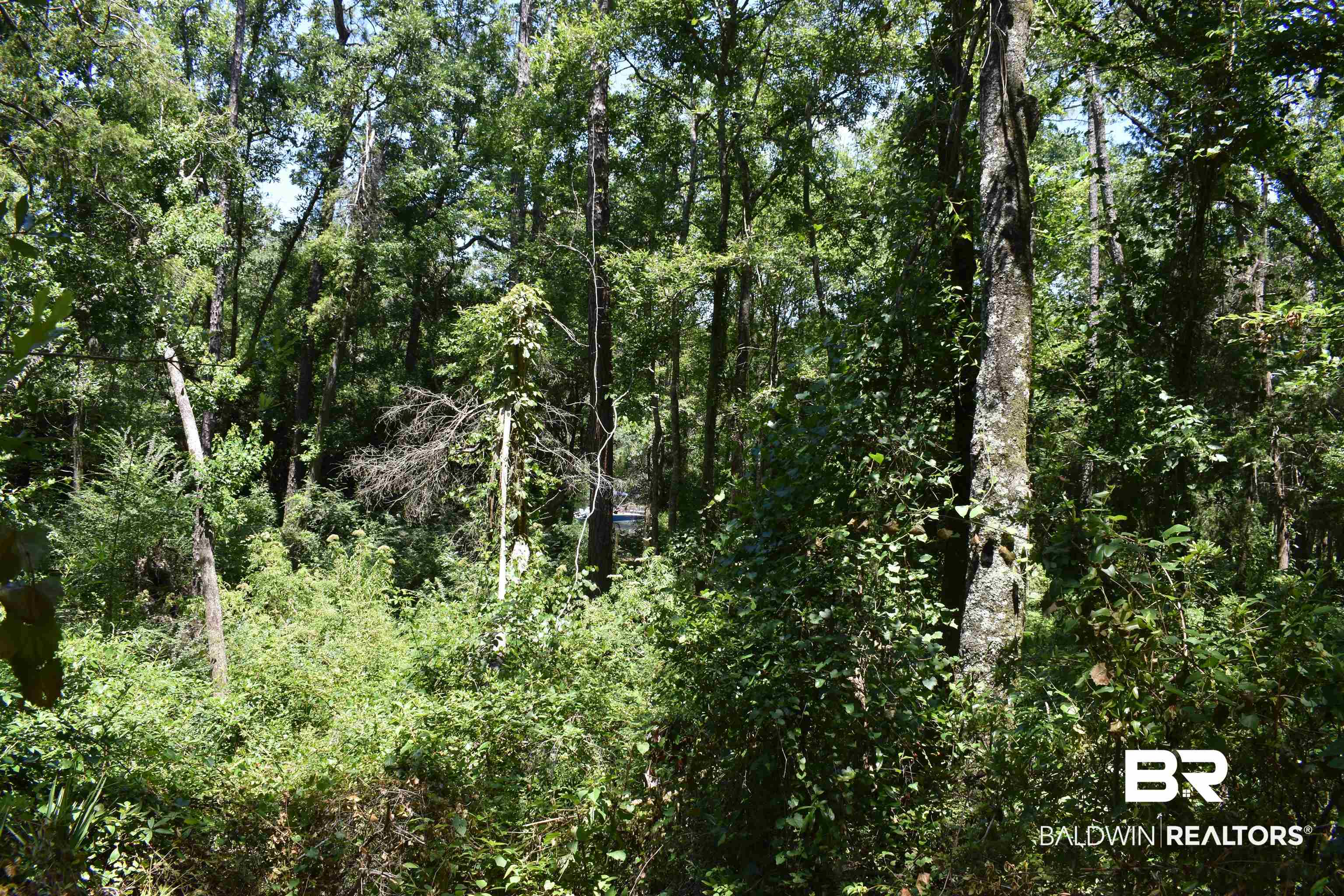 17655 River Road Summerdale, AL 36580 - Photo 12 of 17