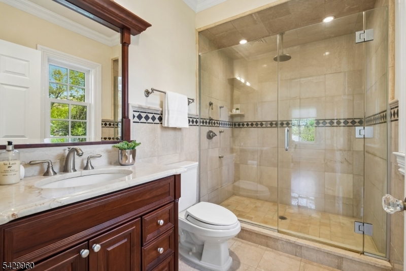 6 Grosvenor Road Short Hills, NJ 07078 - Photo 27 of 50 a bathroom with a sink a toilet and shower