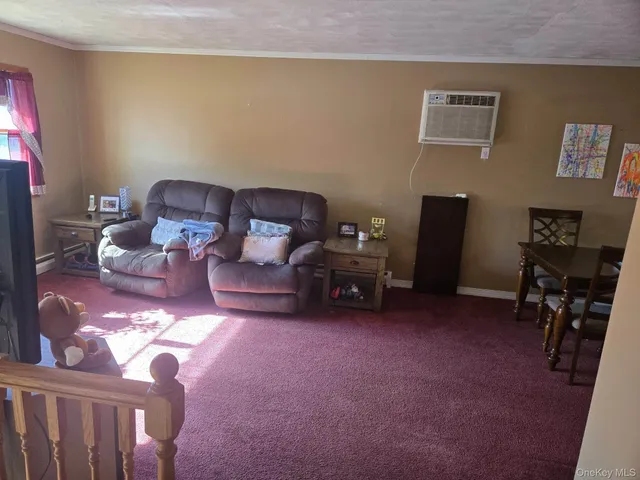 a living room with furniture and a gym machine