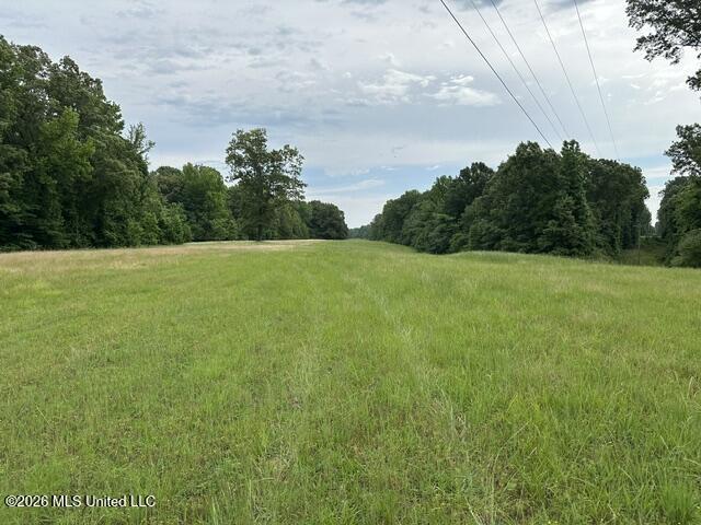 9210 Highway 315 Como, MS 38619 - Photo 5 of 10 IMG_2787
