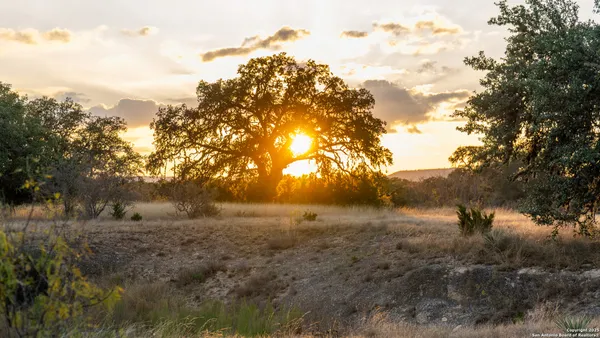 a view of mountain view with lots of trees