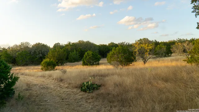 a view of a backyard of a house with a lake view