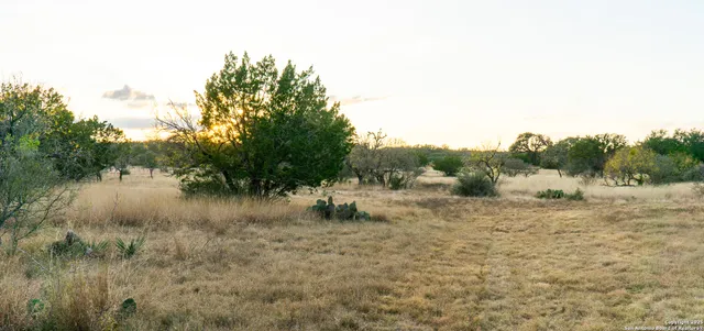 a view of lake with green space