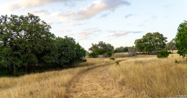 a view of yard and mountain view