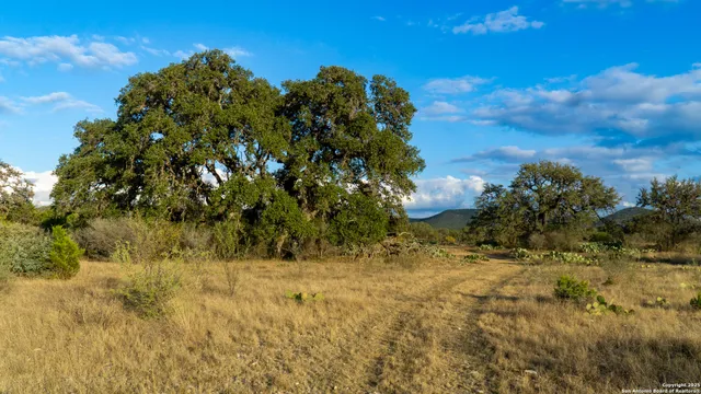 a view of a lake with a mountain in the background