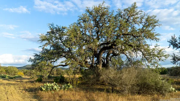 a view of a lake with houses in the back