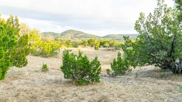 a view of a lake with mountains in the background