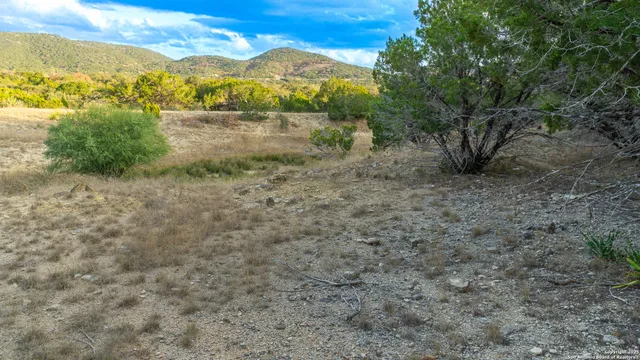 a view of an outdoor space and a yard