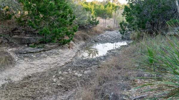 a view of a yard with large trees