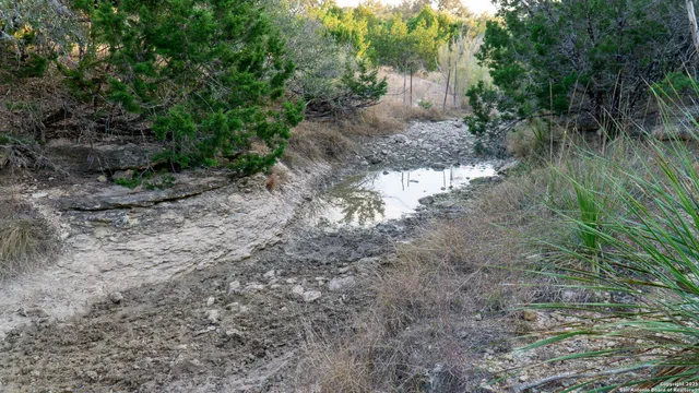a view of a yard with large trees