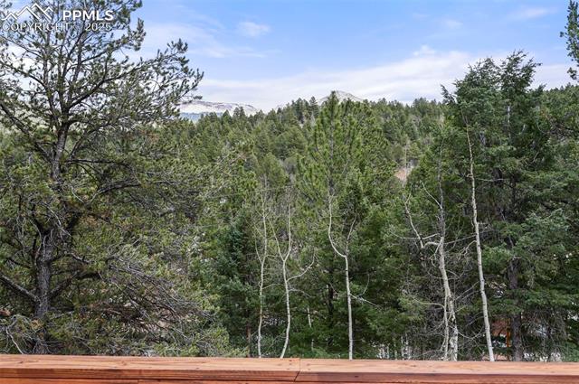 580 Timber Ridge Road Divide, CO 80814 - Photo 14 of 29