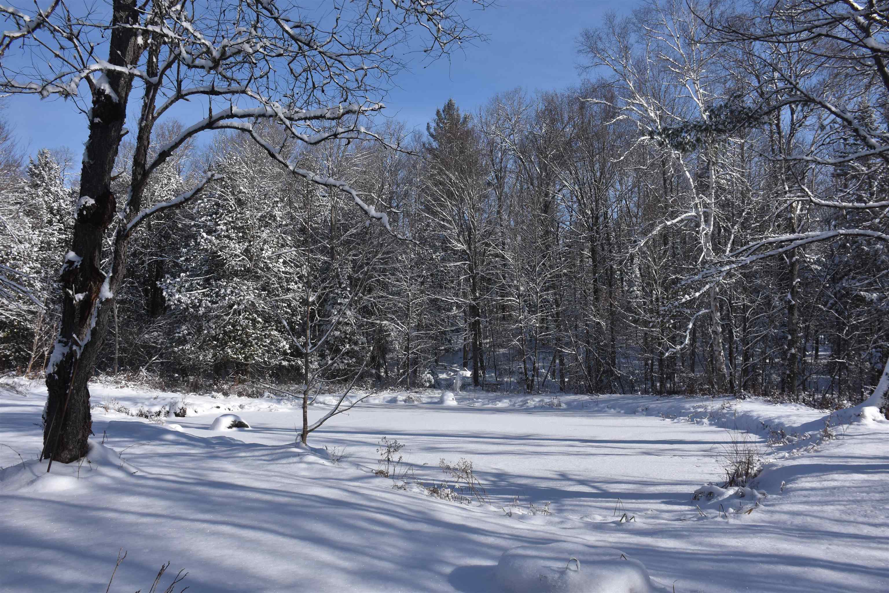 1078 Brook Road Marshfield, VT 05658 - Photo 4 of 60