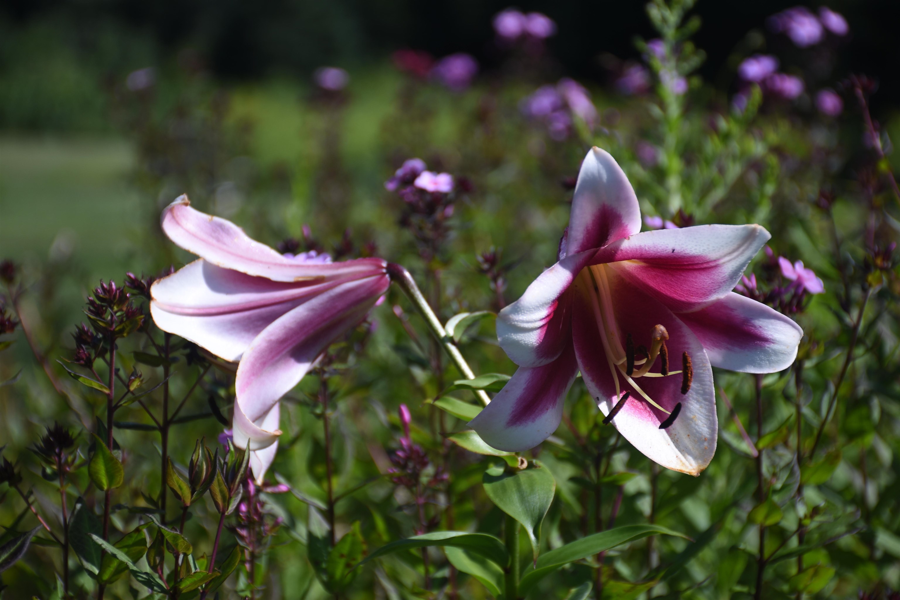 1078 Brook Road Marshfield, VT 05658 - Photo 58 of 60