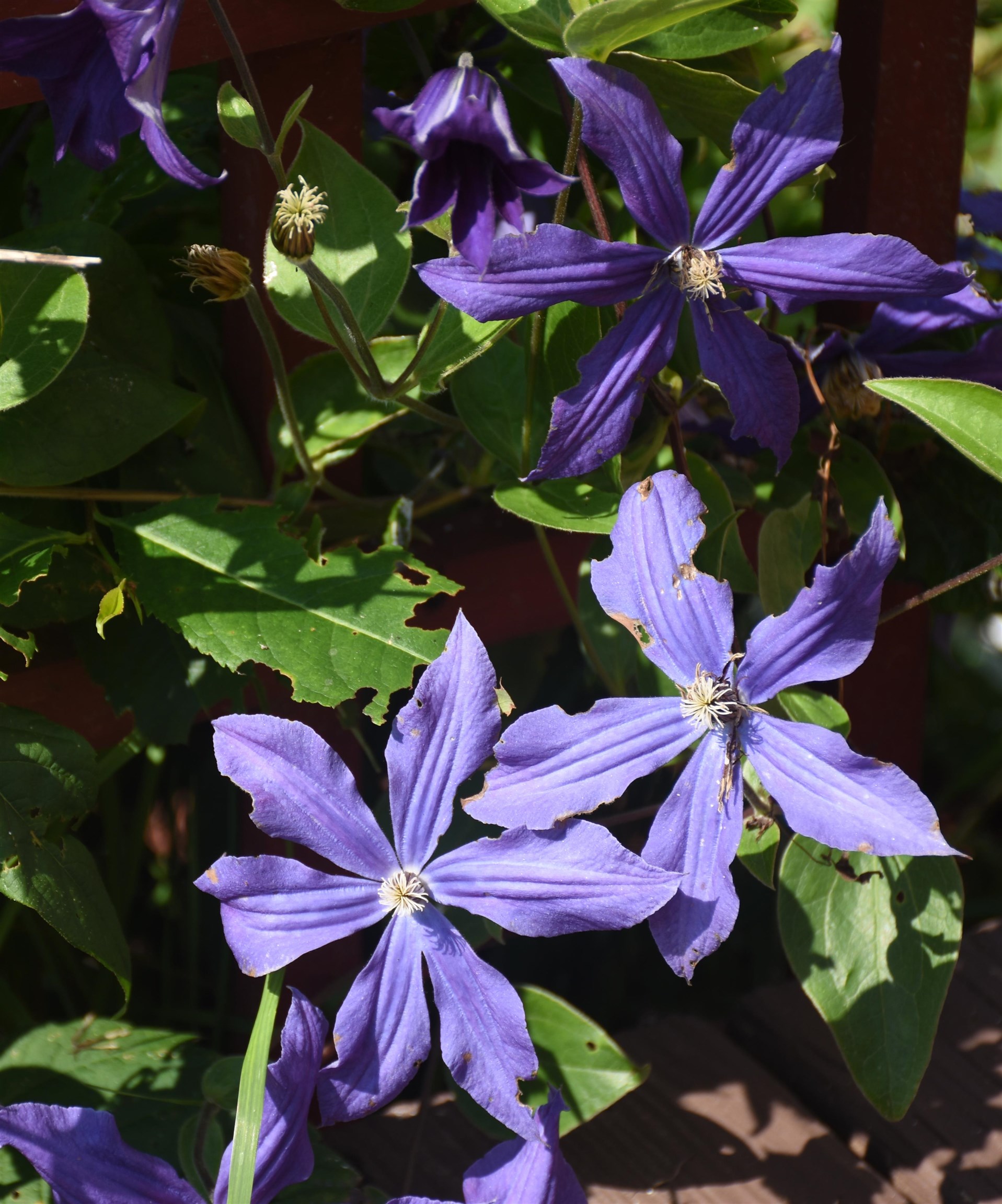 1078 Brook Road Marshfield, VT 05658 - Photo 59 of 60