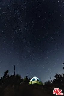 $530,000 | 29243 Piani Road, Pearblossom, CA 93553