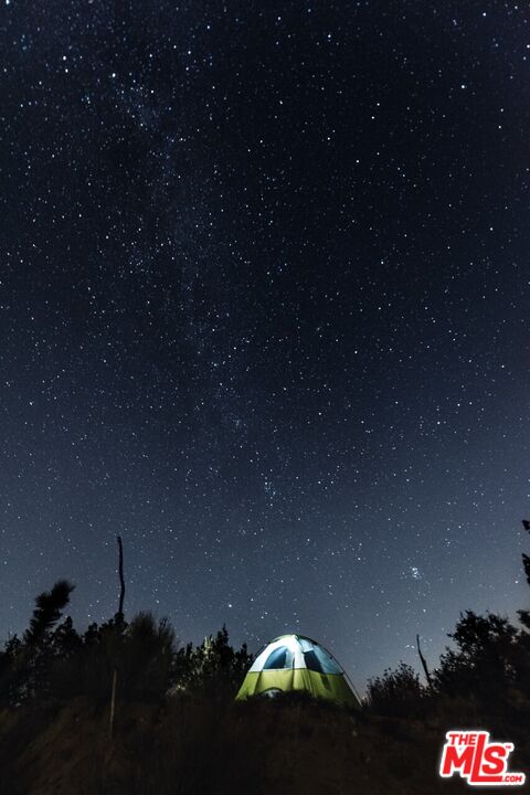 29243 Piani Road Pearblossom, CA 93553 - Photo 56 of 64