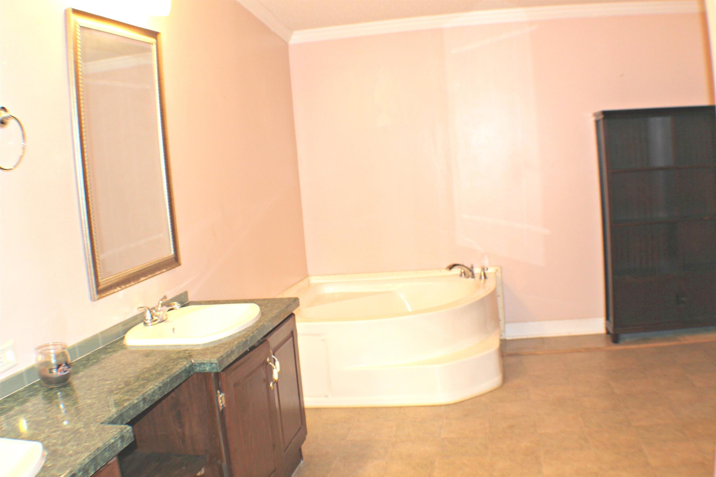 1268 Bull Run Road Lynchburg, TN 37352 - Photo 16 of 21 Master bath has a shower and a tub with lots of extra space.
