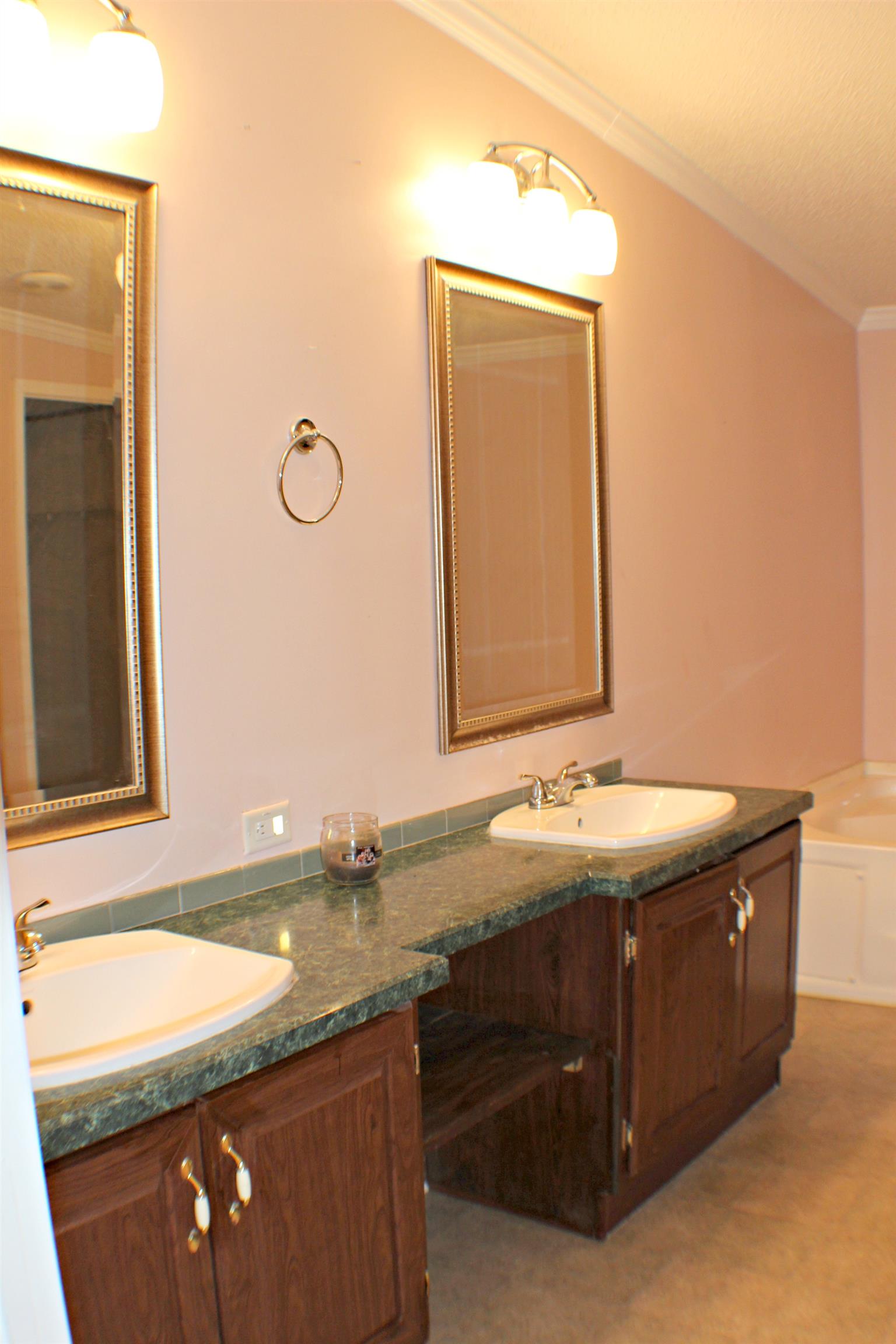 1268 Bull Run Road Lynchburg, TN 37352 - Photo 17 of 21 Master bath has 2 sinks, 2 mirrors, a tub and a shower. it also has lots of floor space where you could build more closet if needed.