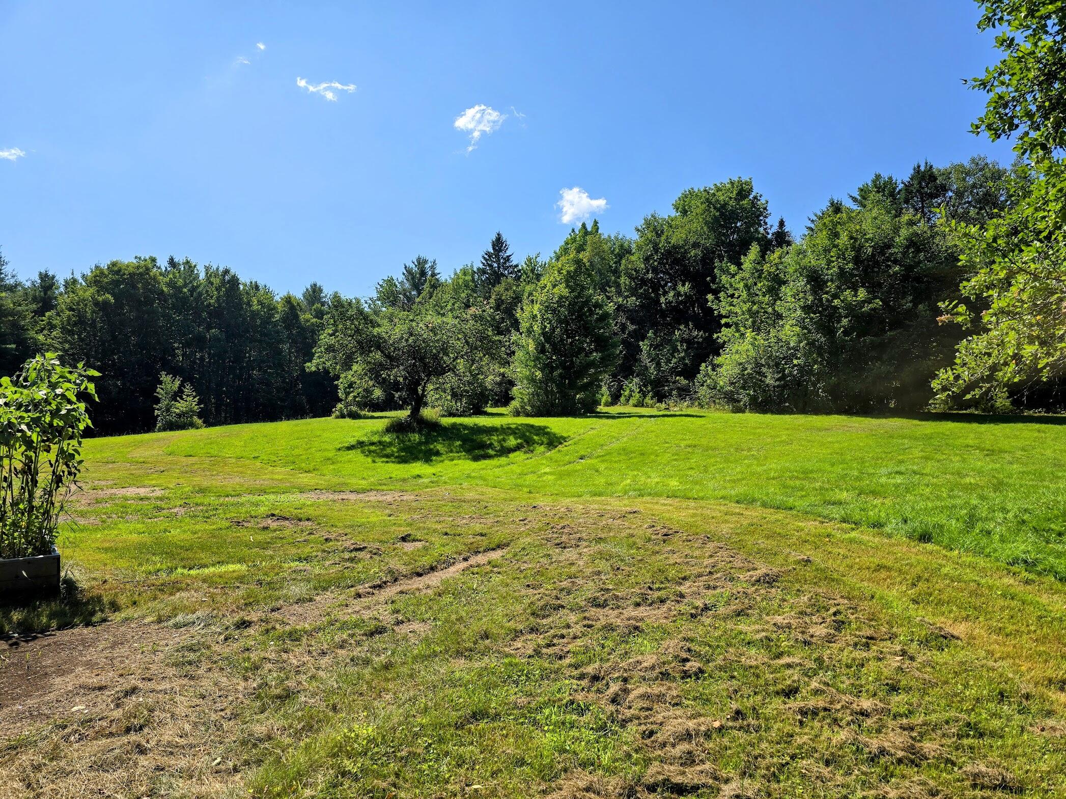 86 High Street Brownville, ME 04414 - Photo 31 of 32 20250726_100528-EDIT