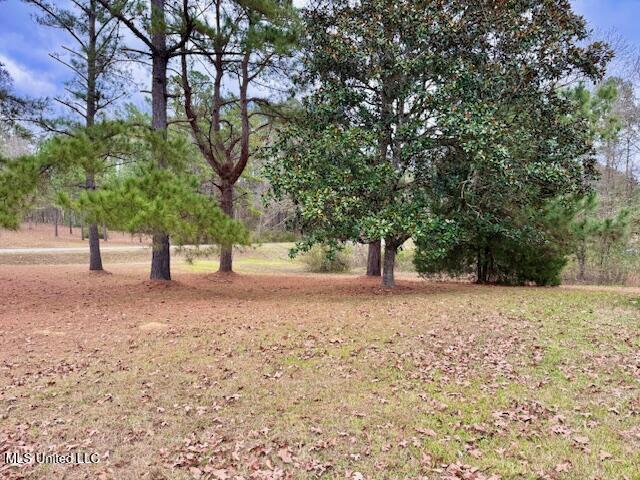 2003 Zetus Road Northwest Brookhaven, MS 39601 - Photo 31 of 34 IMG_5011