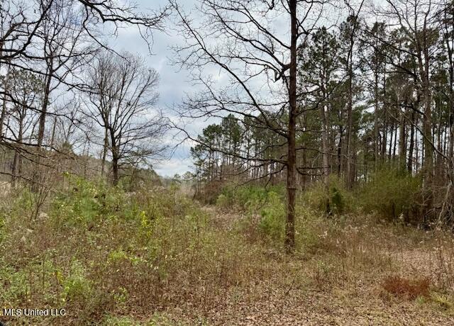 2003 Zetus Road Northwest Brookhaven, MS 39601 - Photo 33 of 34 IMG_5057 - Copy