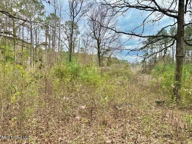 2003 Zetus Road Northwest Brookhaven, MS 39601 - Photo 34 of 34 IMG_5060 - Copy