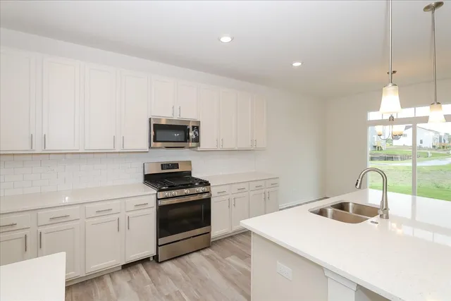 $728,130 | 23253 West Tenny Street, Plainfield, IL 60585