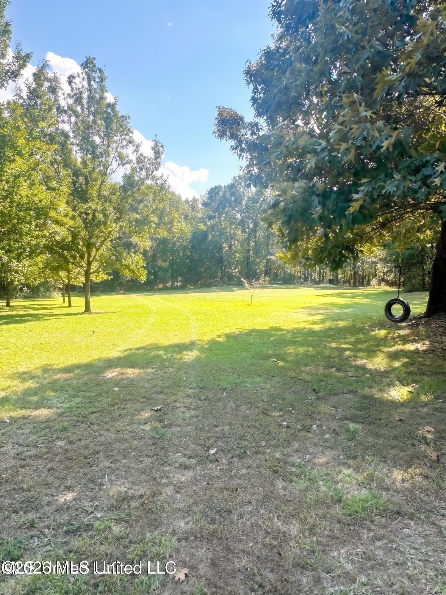 4811 Holcomb-Sweethome Road Holcomb, MS 38940 - Photo 9 of 15 holcomb-sweethome road_31