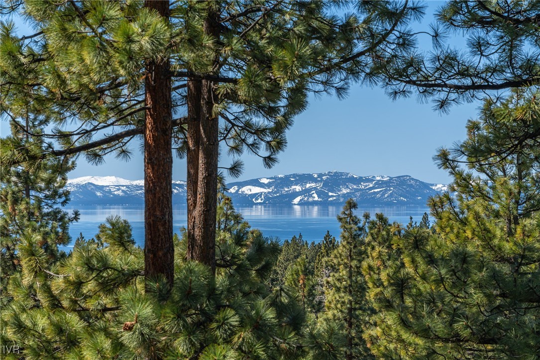 577 Eagle Drive Incline Village, NV 89451 - Photo 2 of 50 an aerial view of a house with a yard