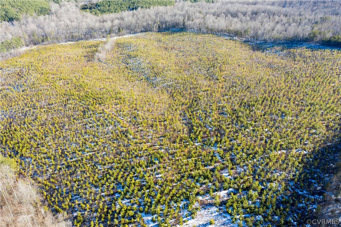 0 Route 610 Road Amherst, VA 24521 - Photo 4 of 9