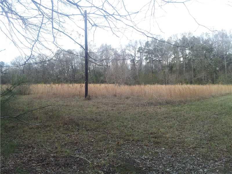 24429 Stepp Road Ponchatoula, LA 70454 - Photo 3 of 6 Gallery Image 3