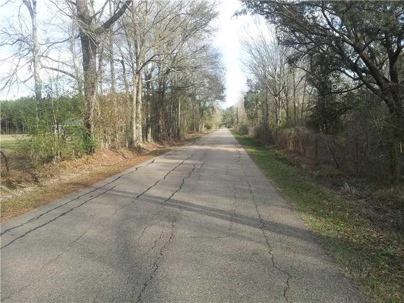 24429 Stepp Road Ponchatoula, LA 70454 - Photo 6 of 6 Gallery Image 6