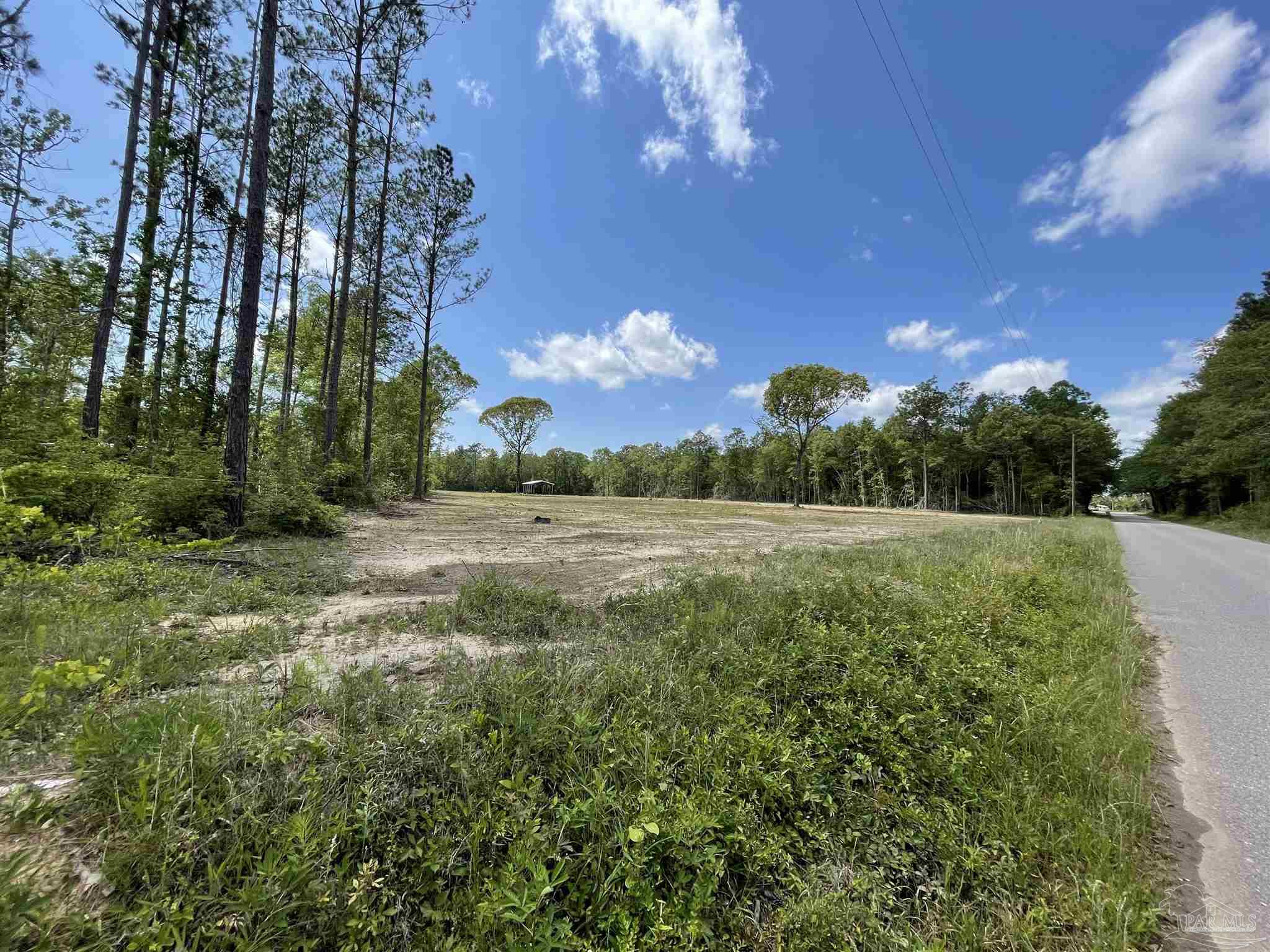 Annie Penton Road Jay, FL 32565 - Photo 3 of 4