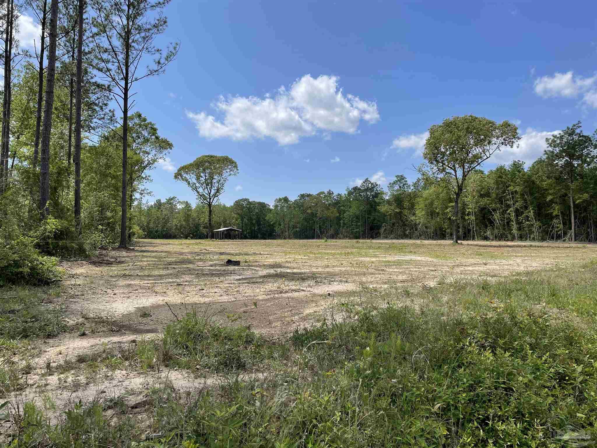 Annie Penton Road Jay, FL 32565 - Photo 4 of 4