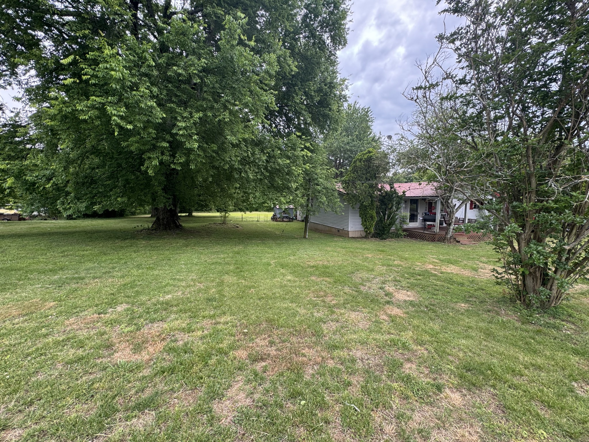 102 Sugar Tree Road Pulaski, TN 38478 - Photo 9 of 35 a view of a yard with a trees