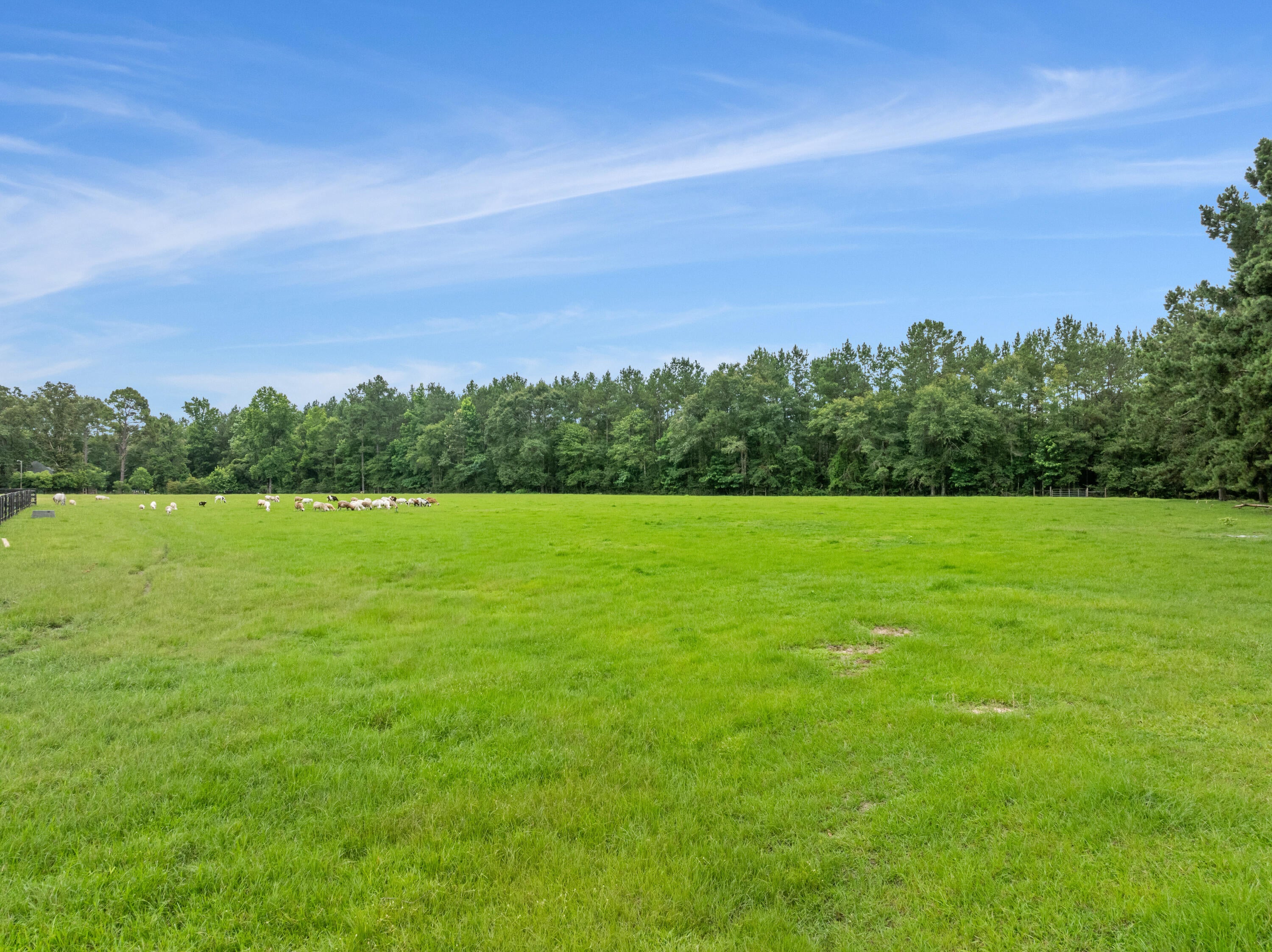 187 Harold Tucker Road Purvis, MS 39475 - Photo 66 of 70 Gallery Image 66