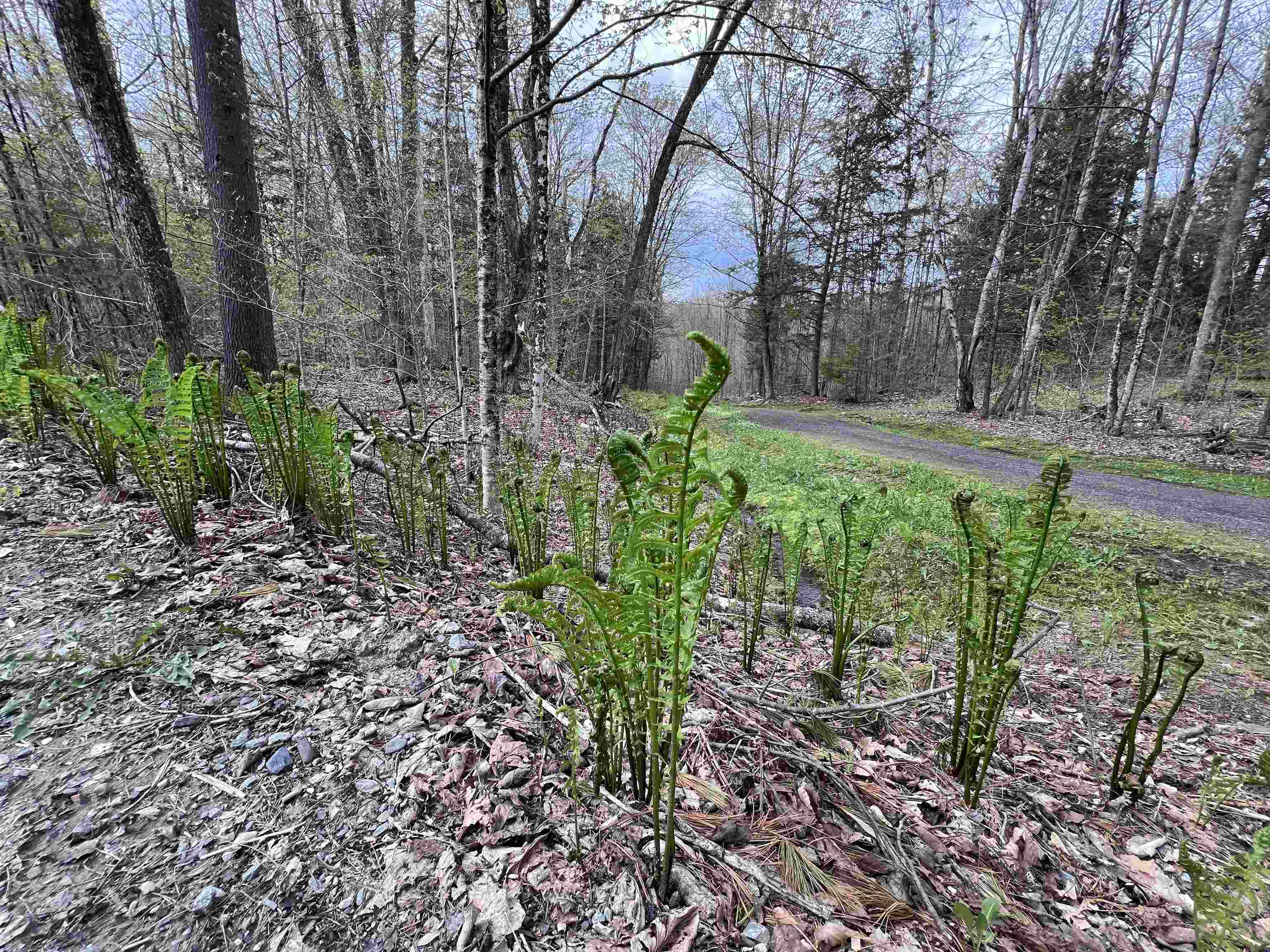 Tbd Rathburn Road East Calais, VT 05650 - Photo 24 of 40