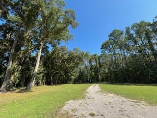 8357 Chisolm Plantation Road Edisto Island, SC 29438 - Photo 18 of 73 IMG_7622