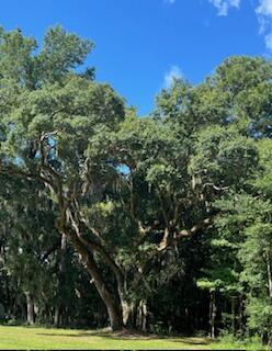 8357 Chisolm Plantation Road Edisto Island, SC 29438 - Photo 20 of 73 IMG_7776