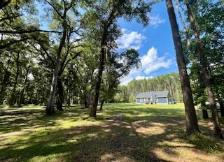 8357 Chisolm Plantation Road Edisto Island, SC 29438 - Photo 27 of 73 IMG_7635