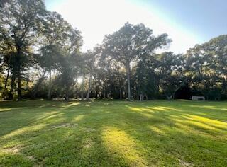 8357 Chisolm Plantation Road Edisto Island, SC 29438 - Photo 28 of 73 IMG_7704