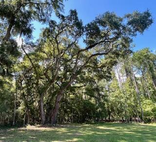 8357 Chisolm Plantation Road Edisto Island, SC 29438 - Photo 50 of 73 IMG_7641