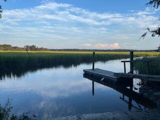 8357 Chisolm Plantation Road Edisto Island, SC 29438 - Photo 52 of 73 IMG_7714